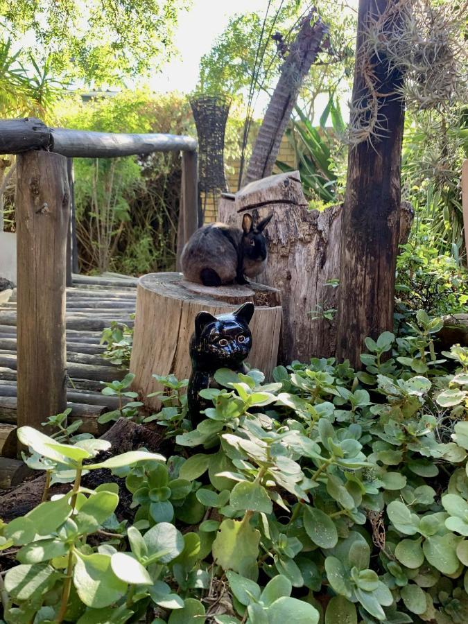 סטלנבוש The Little Hideaway Guesthouse מראה חיצוני תמונה
