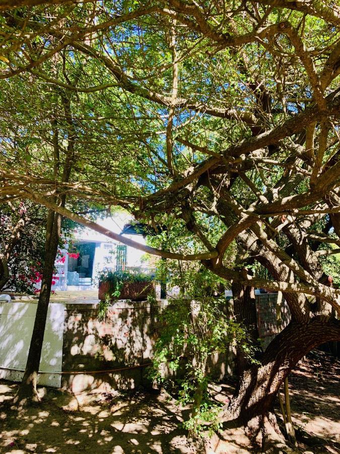 סטלנבוש The Little Hideaway Guesthouse מראה חיצוני תמונה