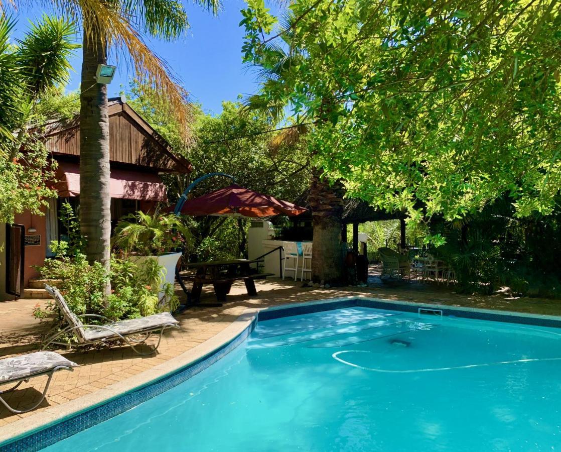 סטלנבוש The Little Hideaway Guesthouse מראה חיצוני תמונה