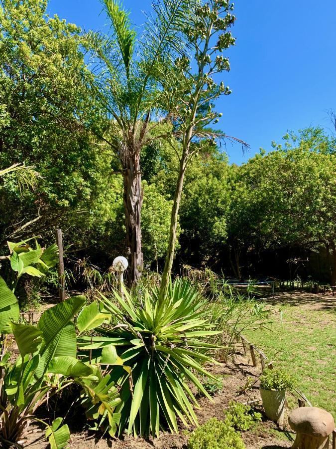 סטלנבוש The Little Hideaway Guesthouse מראה חיצוני תמונה